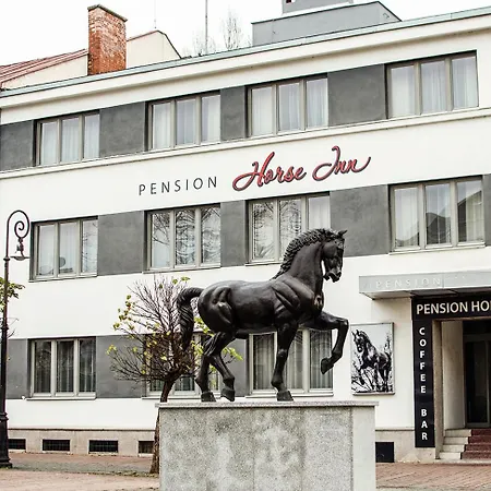 Guest house Horse 3*