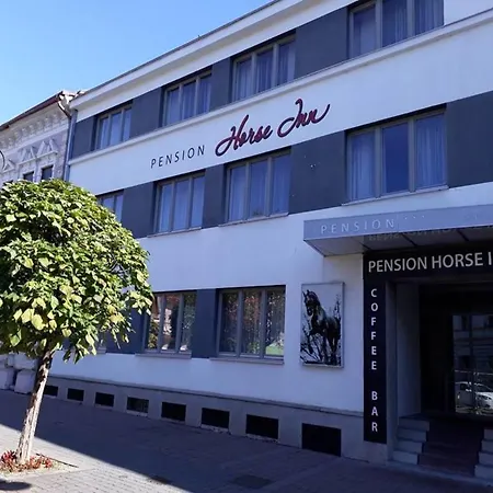 Pensjonat Horse 3*